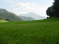 DSC00986