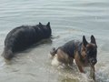 DSC00958