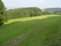 DSC00989