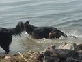 DSC00956