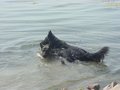 DSC00952