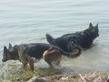 DSC00951