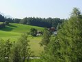DSC00977