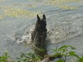 DSC00957