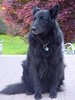 2005_05_15_Lord_am_posieren_2005_2