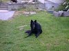 2001_08_08_Lord_im_Garten_2001_2