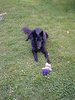2001_08_08_Lord_im_Garten_2001_3