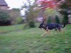 2001_10_17_Fenja_Garten_Okt_2001_3