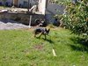 2001_08_12_Fenja_Garten_Aug_2001