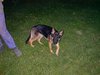 2001_08_08_Carol_und_Fenja_Garten_2