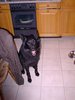 2001_09_24_Lord_in_Kueche_2001