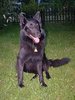 2001_08_08_Lord_im_Garten_2001_4