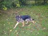 2001_10_17_Fenja_Garten_Okt_2001