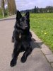 2000_04_22_Lord_Seebach_2000